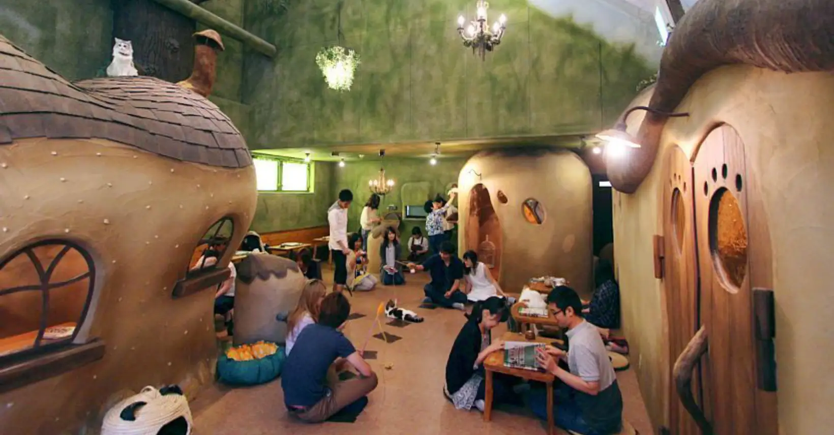Cat Café