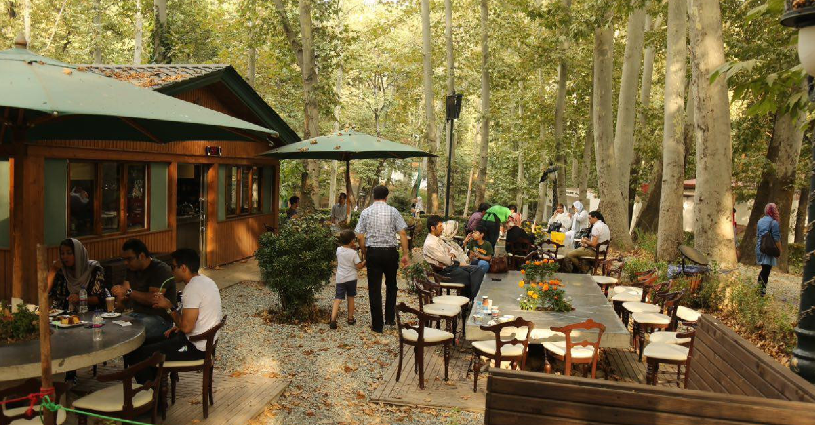 کافه لاکچری در ونک